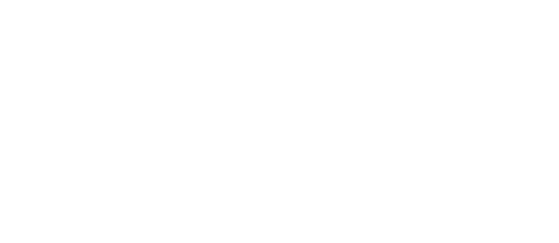 Logos of two optimisation providers, Amplified Intelligence and Double Verify.