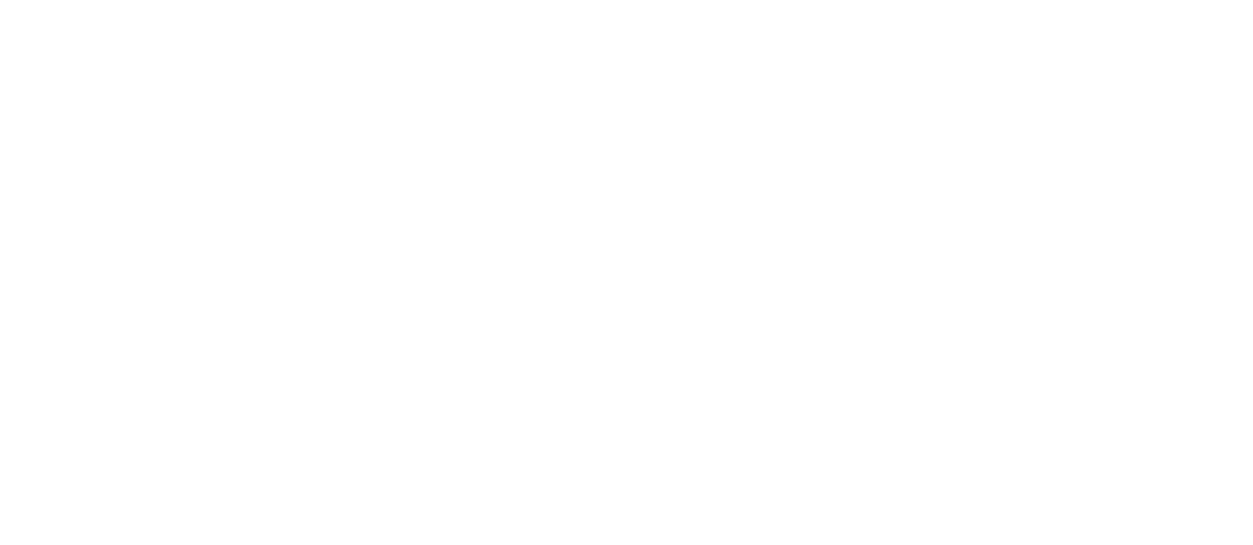 Logos of two optimisation providers, Amplified Intelligence and Double Verify.